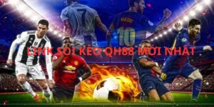 link soi kèo QH88 mới nhất