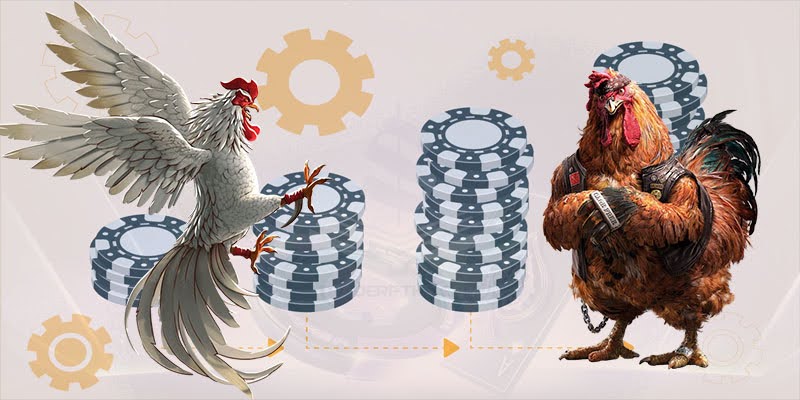 Nhờ giác quan và kinh nghiệm nhanh nhạy, Anh Hùng chơi Đá gà WS168 QH88 thắng 300 triệu 4 Đặt cược thông minh và quản lý vốn là một bí kíp chiến thắng của anh Hùng