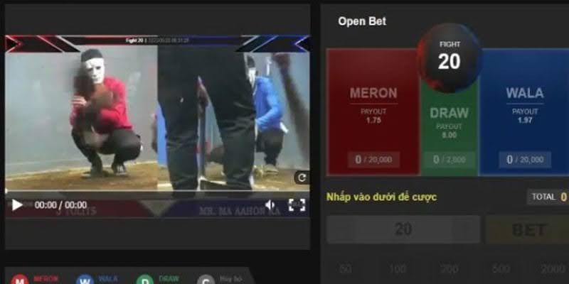 Nhờ giác quan và kinh nghiệm nhanh nhạy, Anh Hùng chơi Đá gà WS168 QH88 thắng 300 triệu 2 Giao diện trò chơi đá gà trực tiếp WS QH168